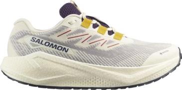 Salomon Men's Aero Blaze 3 Gravel GORE-TEX Vanilla Ice/Astral Aura/Lem...