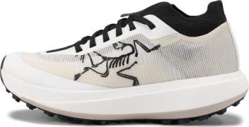 Arc'teryx Women's Sylan Pro Arctic Silk/arctic Silk