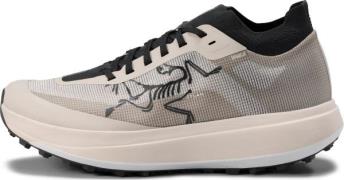 Arc'teryx Men's Sylan Pro Rune/rune