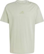 Adidas Men's Terrex Multi Tee Meadow Pack Halo green
