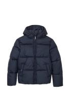 Puffer Winter Jacket With Hood Toppatakki Navy Tom Tailor