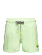 Niko Solid Uimashortsit Green Molo