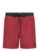 Starfish Uimashortsit Red BOSS