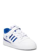Forum Low I Matalavartiset Sneakerit Tennarit White Adidas Originals