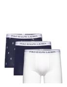 Bci Cotton/Elastane-3Pk-Bxb Bokserit Navy Polo Ralph Lauren Underwear