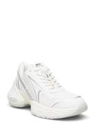 Satellite Sneaker Matalavartiset Sneakerit Tennarit White Steve Madden