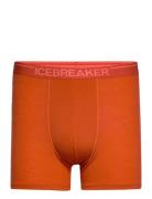 Men Anatomica Boxers Bokserit Orange Icebreaker