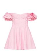 Sigma Mini Dress Lyhyt Mekko Pink Bardot