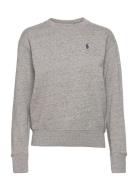 Fleece Pullover Tops Sweat-shirts & Hoodies Sweat-shirts Grey Polo Ral...