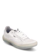 Shoe Adult Unisex Numeric Wid Sport Sneakers Low-top Sneakers White VA...