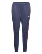 Individualblaze Training Pants Sport Sport Pants Blue PUMA