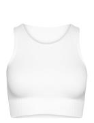 White Ribbed Seamless Crop Top Sport Bras & Tops Sports Bras - All Whi...