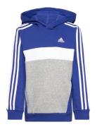 J 3S Tib Fl Hd Sport Sweat-shirts & Hoodies Hoodies Blue Adidas Sports...