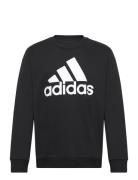 Essentials Fleece Big Logo Sweatshirt Sport Sweat-shirts & Hoodies Swe...