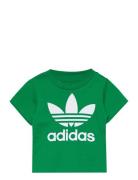 Trefoil Tee Sport T-shirts Short-sleeved Green Adidas Originals
