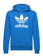 Trefoil Hoodie Sport Sweat-shirts & Hoodies Hoodies Blue Adidas Origin...