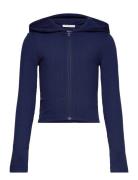 Cropped Rib Jacket Tops Sweat-shirts & Hoodies Hoodies Blue Tom Tailor