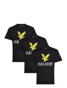3 Pack Printed T-Shirt Tops T-shirts Short-sleeved Black Lyle & Scott