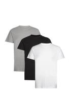 Elon Organic/Recycled 3-Pack T-Shirt Tops T-shirts Short-sleeved White...