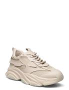 Possess Matalavartiset Sneakerit Tennarit Beige Steve Madden