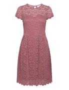 Vikalila Capsleeve Lace Dress - Noos Polvipituinen Mekko Pink Vila