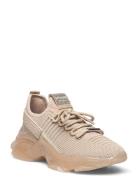 Maxilla-R Sneaker Matalavartiset Sneakerit Tennarit Beige Steve Madden