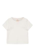 Rib Jersey T-Shirt Tops T-shirts Short-sleeved Cream Copenhagen Colors