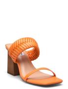 Raver Sandal Korolliset Sandaalit Orange Steve Madden