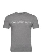 Core Institutional Logo Slim Tee Tops T-shirts Short-sleeved Grey Calv...