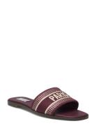 Knox Sandal Matalapohjaiset Sandaalit Burgundy Steve Madden