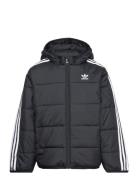 Padded Jacket Toppatakki Black Adidas Originals