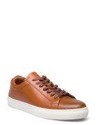 Biaajay 2.0 Crust Matalavartiset Sneakerit Tennarit Brown Bianco