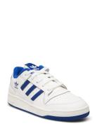 Forum Low Cl C Matalavartiset Sneakerit Tennarit White Adidas Original...