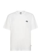 Summerdale Ss Tee Designers T-shirts Short-sleeved White Dickies