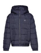 Shield Padded Jacket Toppatakki Navy GANT