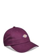 Hardwick Accessories Headwear Caps Burgundy Dickies