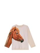 Mountoo Tops T-shirts Long-sleeved T-shirts Beige Molo