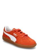 Palermo Jr Sport Sneakers Low-top Sneakers Orange PUMA