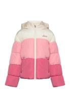 Color Block Puffer / Lvg Color Block Puffer Toppatakki Pink Levi's