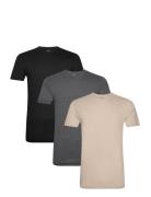 Slim Crewneck 3-Pack Tops T-shirts Short-sleeved Multi/patterned Polo ...