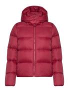 Mw Down Short Puffer Vuorillinen Takki Topattu Takki Pink Calvin Klein...