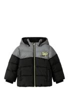 Nmmmorten Puffer Jacket Dino Detail Toppatakki Black Name It