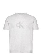 Chenille Monologo Tee Tops T-shirts Short-sleeved Grey Calvin Klein Je...