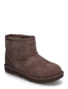 K Classic Mini Ii Talvisaappaat Brown UGG