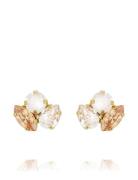 Ana Earrings Gold Korvakoru Korut Gold Caroline Svedbom