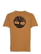 Tree Logo Short Sleeve Tee Tops T-shirts Short-sleeved Brown Timberlan...