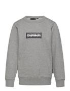 Chamois Sweatshirt Tops Sweat-shirts & Hoodies Sweat-shirts Grey Napap...