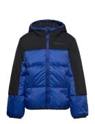 Hooded Jacket Toppatakki Blue Champion