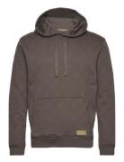 Jacquard Terry Hoodie Tops Sweat-shirts & Hoodies Hoodies Brown Scotch...