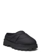 Frost Slip-On Tennarit Sneakerit Black Steve Madden